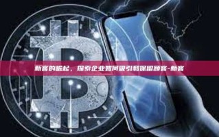 新客的崛起，探索企业如何吸引和保留顾客-新客