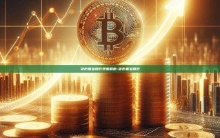 货币基金爆仓现象解析-货币基金爆仓