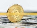 探索Binance，加密货币交易的领航者-binance